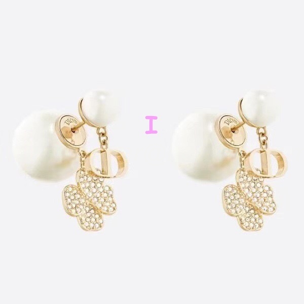 DIOR Earrings 297